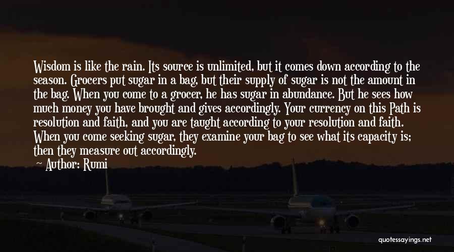 Money Bag Quotes By Rumi