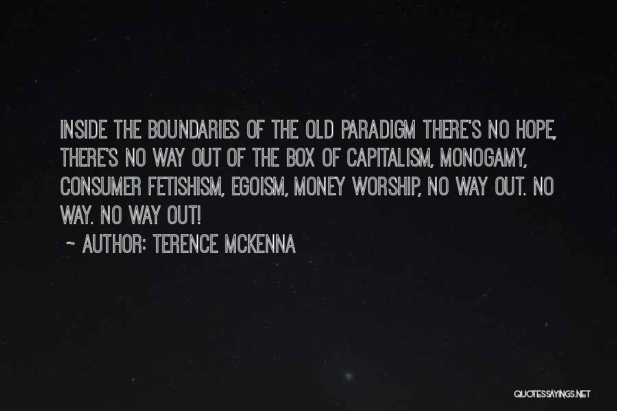 Money Box Quotes By Terence McKenna