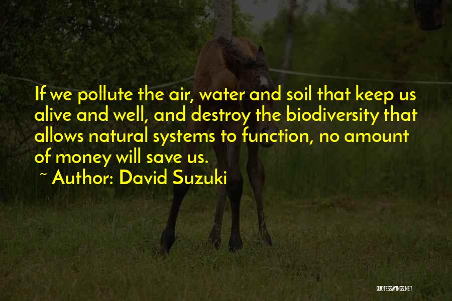 Money Can Destroy Quotes By David Suzuki