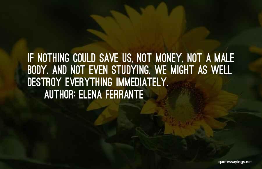Money Can Destroy Quotes By Elena Ferrante