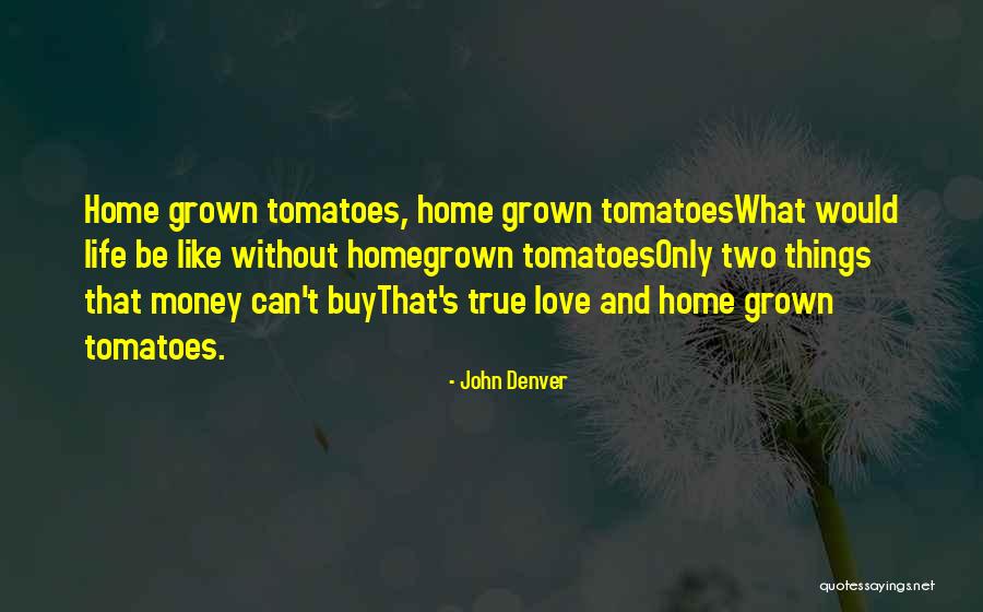 Money Can T Buy Love Quotes By John Denver Money Can T Buy Love Quotes By John Denver