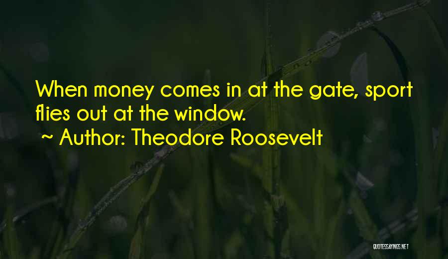 Money Comes Quotes By Theodore Roosevelt