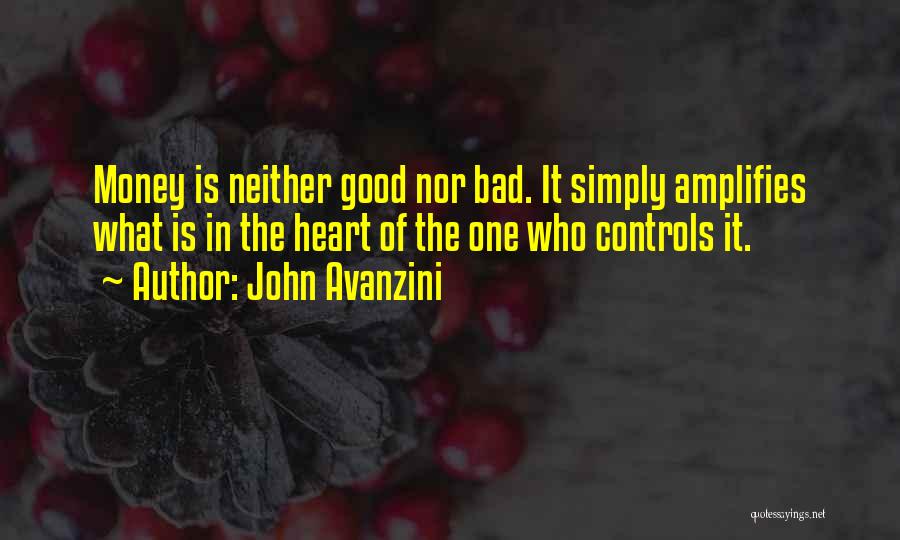 Money Controls Quotes By John Avanzini