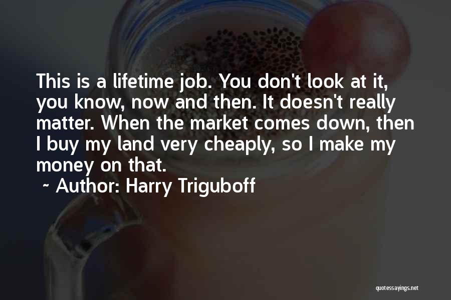 Money Doesn't Matter Quotes By Harry Triguboff