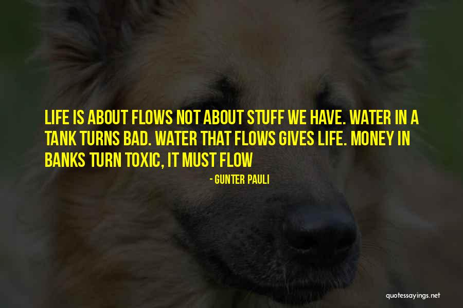 Money Flows Quotes By Gunter Pauli