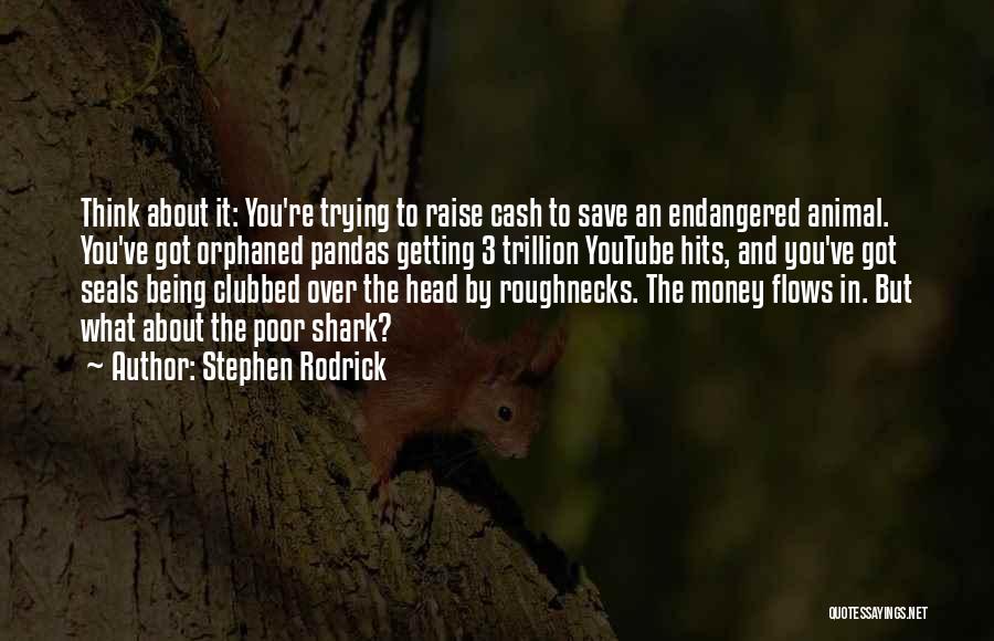 Money Flows Quotes By Stephen Rodrick