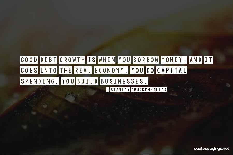 Money Goes Quotes By Stanley Druckenmiller