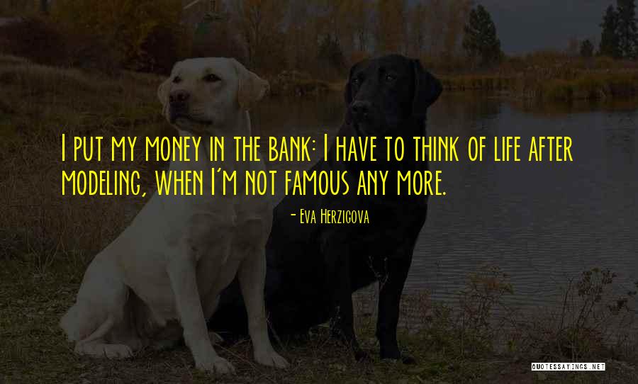 Money In The Bank Quotes By Eva Herzigova