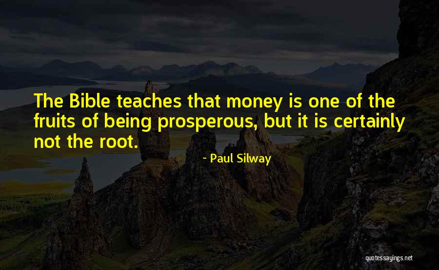 Money In The Bible Quotes By Paul Silway