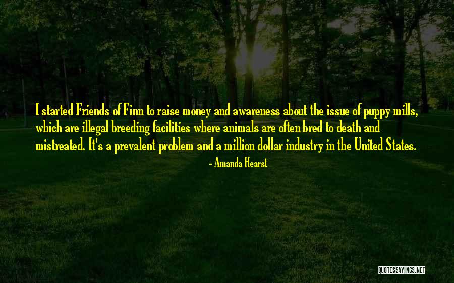 Money Issue Quotes By Amanda Hearst