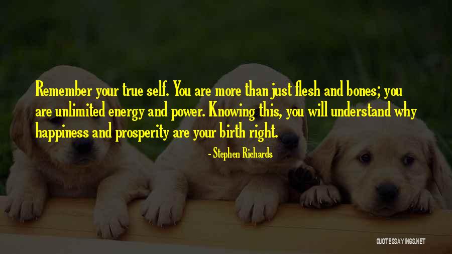 Money Manifestation Quotes By Stephen Richards