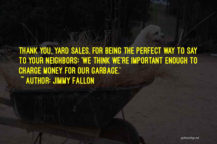 Money Not Being Important Quotes By Jimmy Fallon