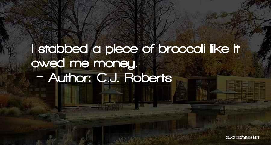 Money Owed Quotes By C.J. Roberts