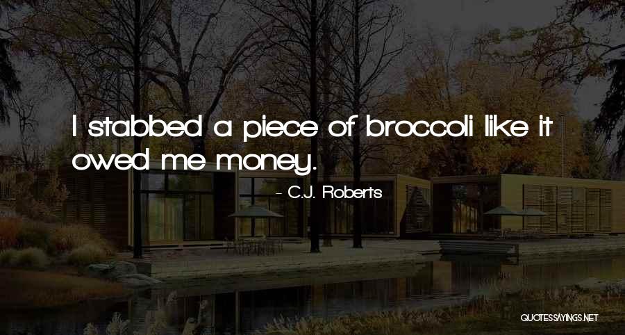 Money Owed Quotes By C.J. Roberts