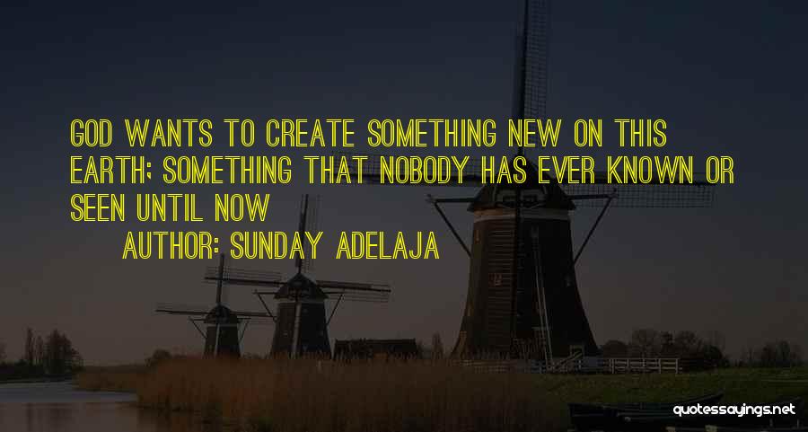 Money Riches Quotes By Sunday Adelaja