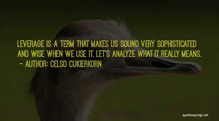 Money Wise Quotes By Celso Cukierkorn