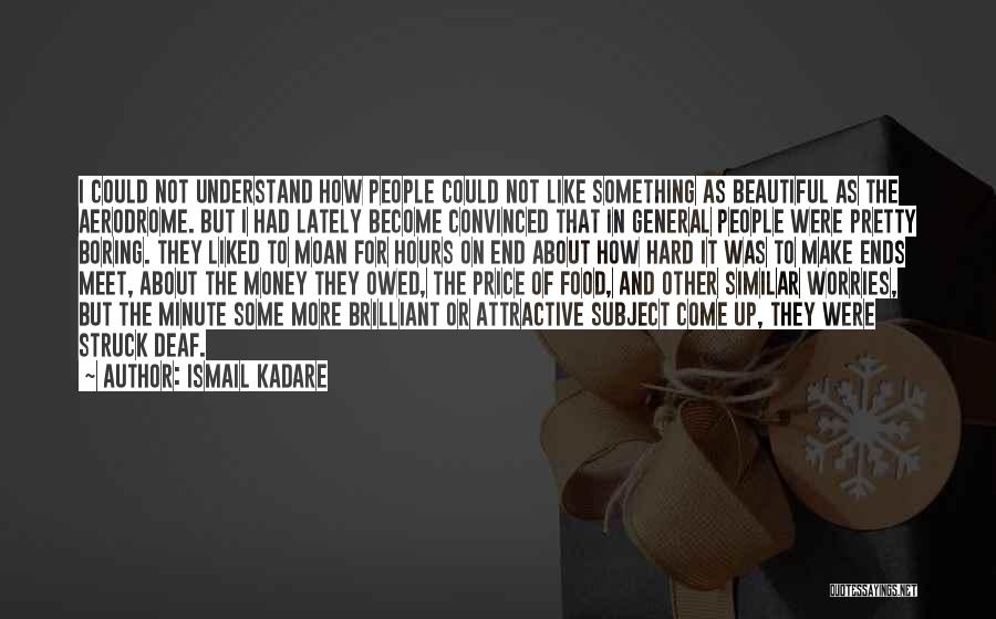 Money Worries Quotes By Ismail Kadare