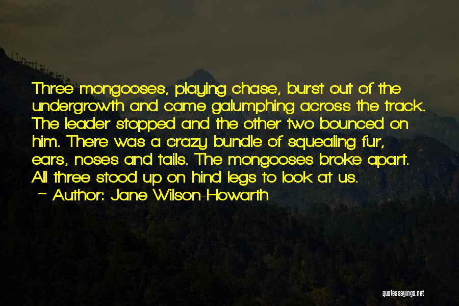 Mongoose Quotes By Jane Wilson-Howarth