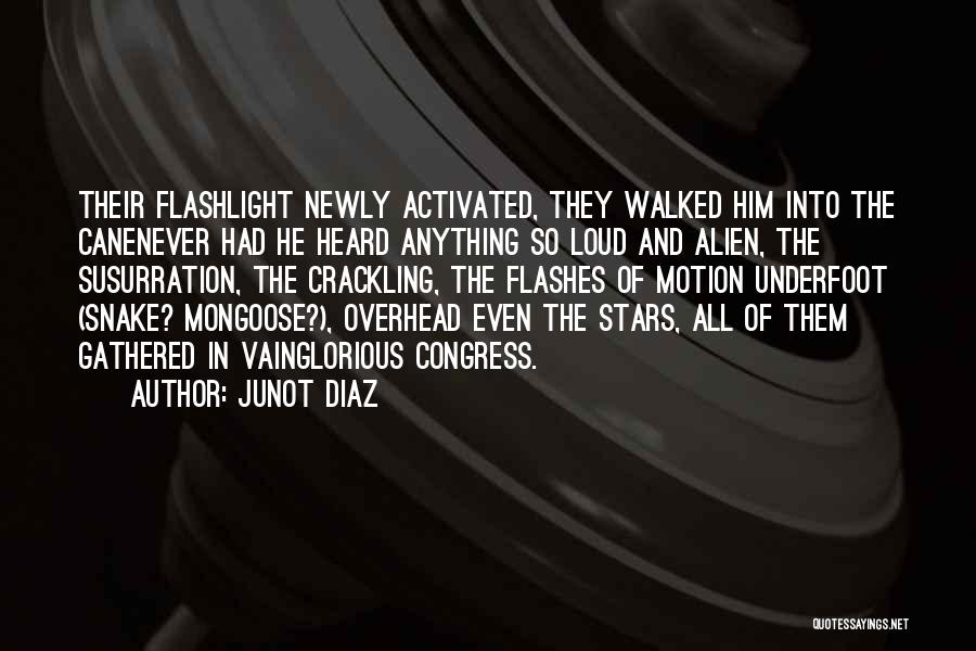 Mongoose Quotes By Junot Diaz