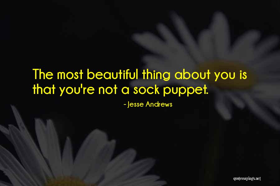 Mongooses Comprehension Quotes By Jesse Andrews Mongooses Comprehension Quotes By Jesse Andrews