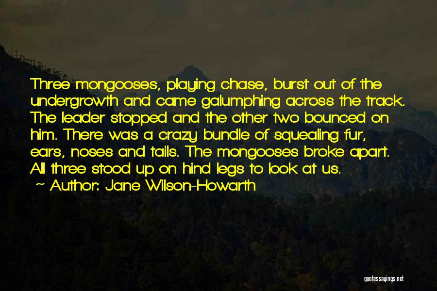 Mongooses Quotes By Jane Wilson-Howarth