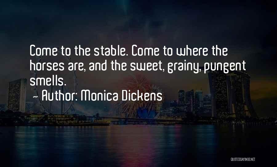 Monica Dickens Quotes 1967982