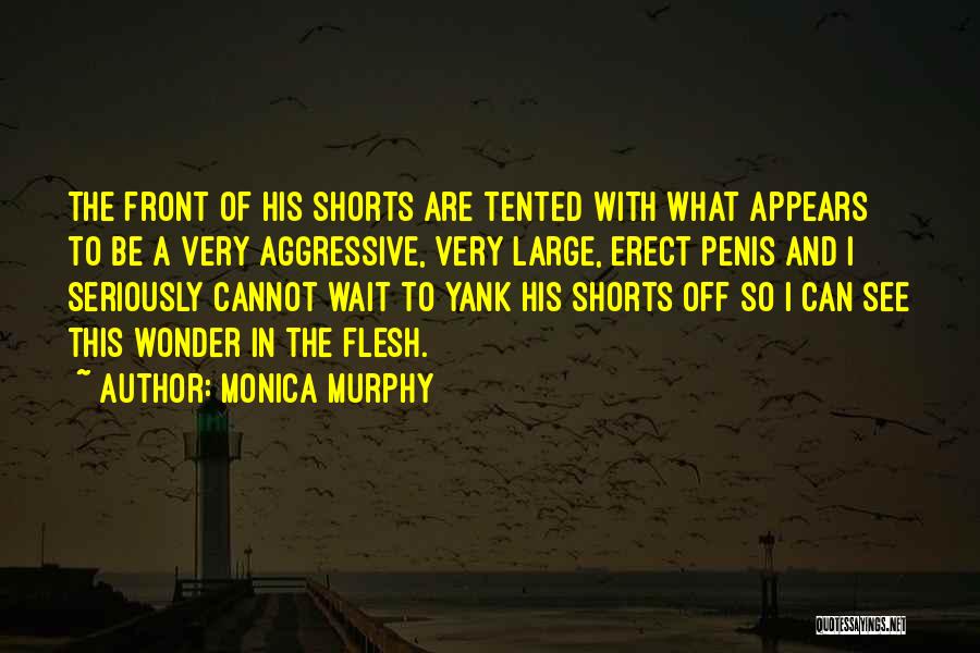 Monica Murphy Quotes 1157675