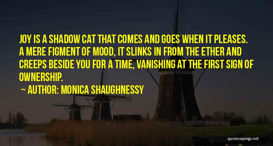 Monica Shaughnessy Quotes 668948