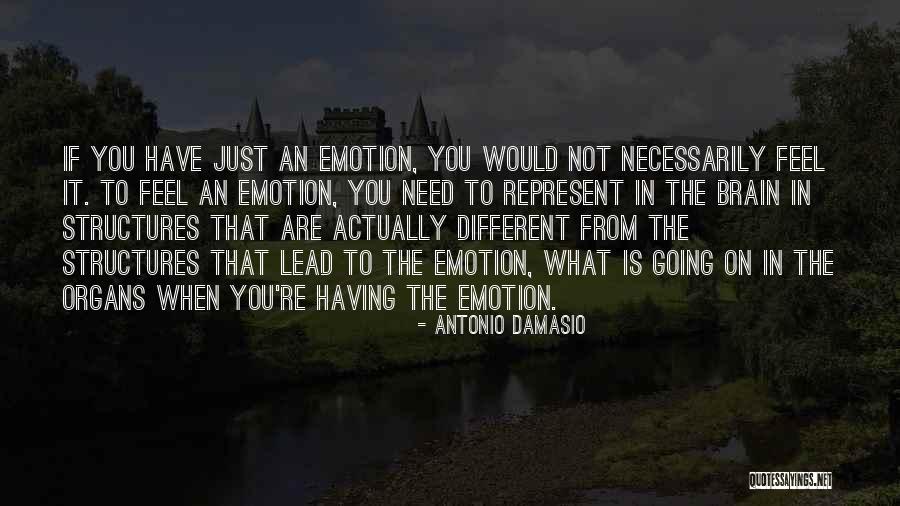 Monica Wehby Quotes By Antonio Damasio Monica Wehby Quotes By Antonio Damasio