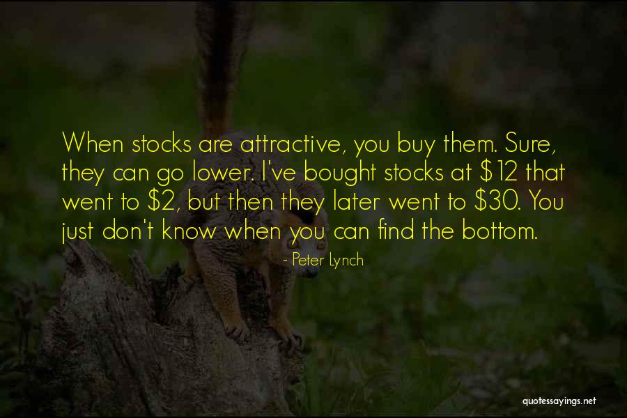 Moniques Net Quotes By Peter Lynch Moniques Net Quotes By Peter Lynch