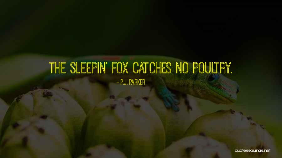 Monisha Akhoury Quotes By P.J. Parker Monisha Akhoury Quotes By P.J. Parker