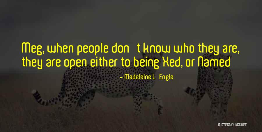 Monjot David Quotes By Madeleine L'Engle Monjot David Quotes By Madeleine L'Engle