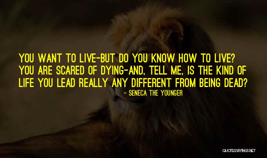 Monkey Paw Important Quotes By Seneca The Younger Monkey Paw Important Quotes By Seneca The Younger