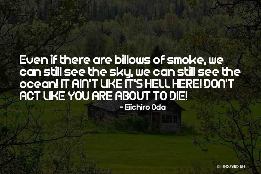 Monkey See Monkey Do Quotes By Eiichiro Oda Monkey See Monkey Do Quotes By Eiichiro Oda