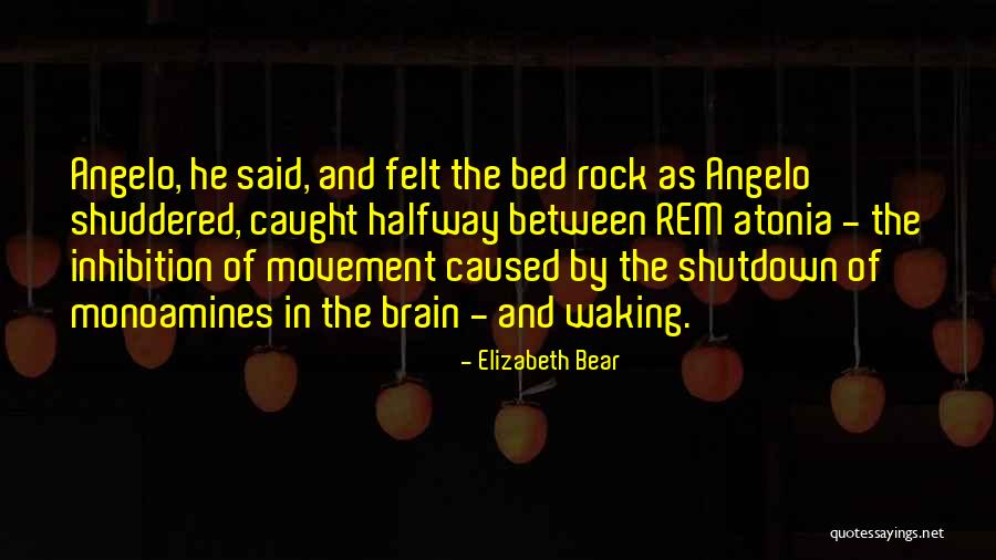 Monoamines Brain Quotes By Elizabeth Bear Monoamines Brain Quotes By Elizabeth Bear