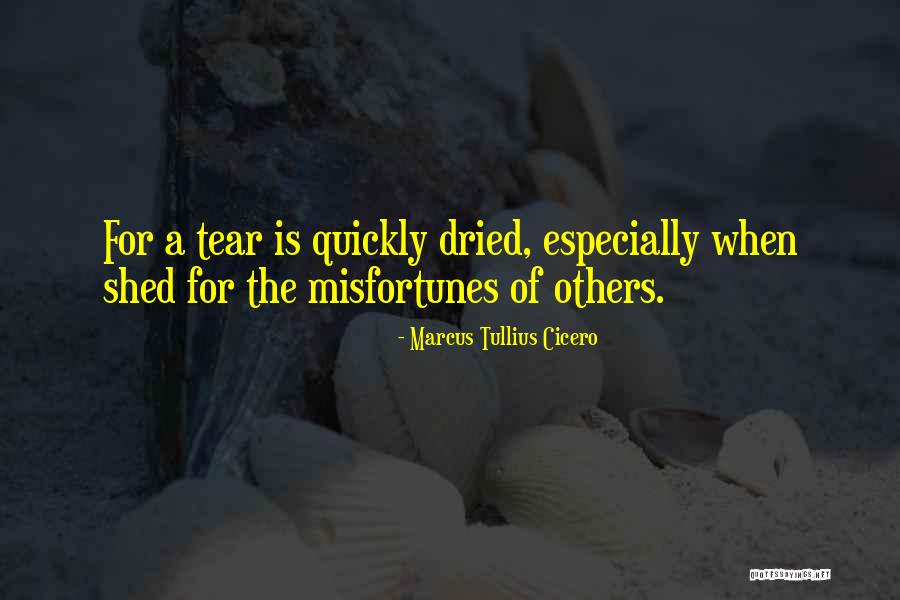 Monofilament Suture Quotes By Marcus Tullius Cicero Monofilament Suture Quotes By Marcus Tullius Cicero