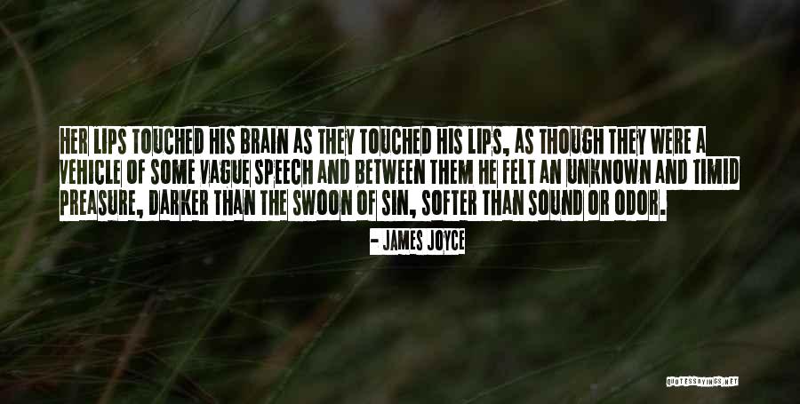 Monotonie Funkce Quotes By James Joyce Monotonie Funkce Quotes By James Joyce