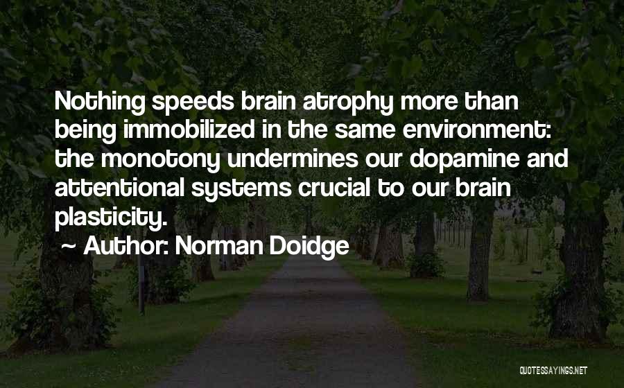 Monotony Boredom Quotes By Norman Doidge