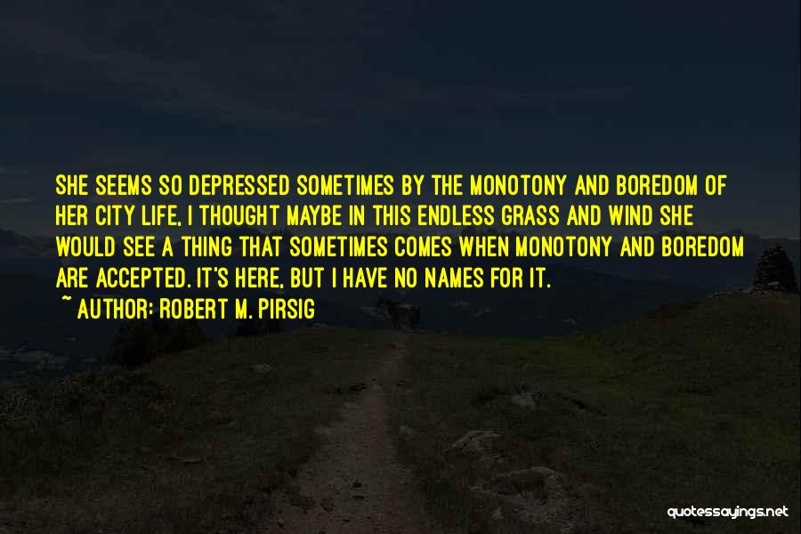 Monotony Boredom Quotes By Robert M. Pirsig