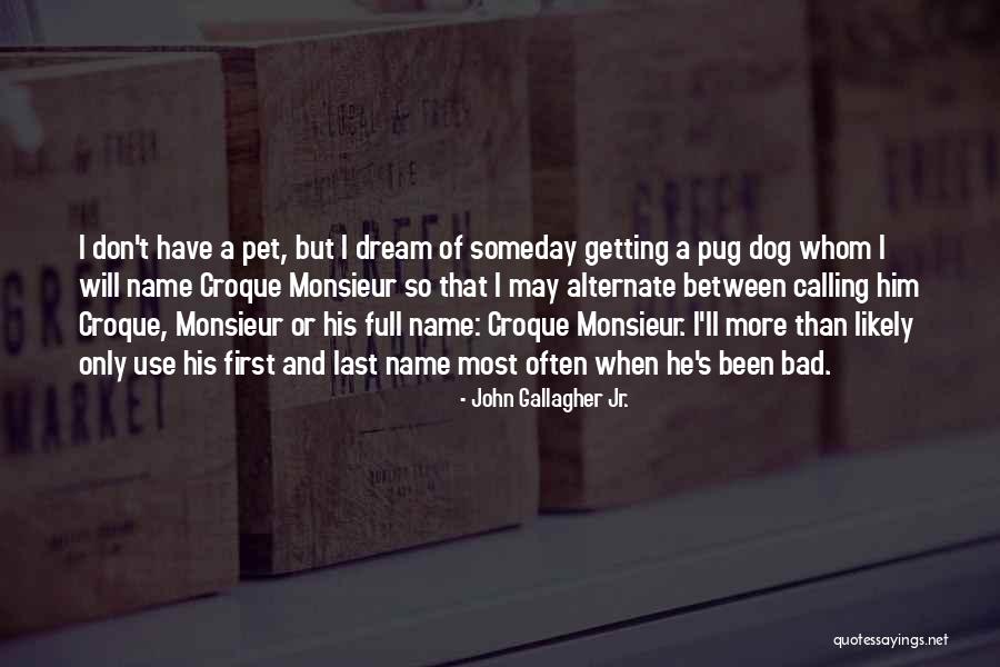 Monsieur D'arque Quotes By John Gallagher Jr.