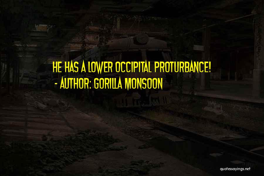 Monsoon Quotes By Gorilla Monsoon