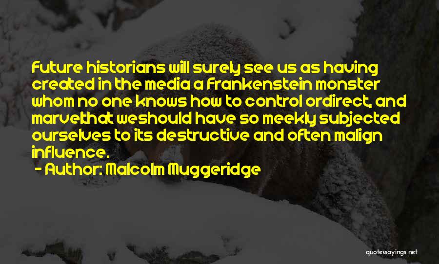 Monster In Frankenstein Quotes By Malcolm Muggeridge