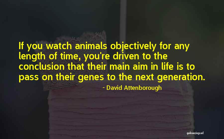 Montados Em Quotes By David Attenborough Montados Em Quotes By David Attenborough