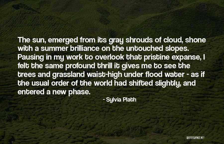 Montagano Construction Quotes By Sylvia Plath Montagano Construction Quotes By Sylvia Plath