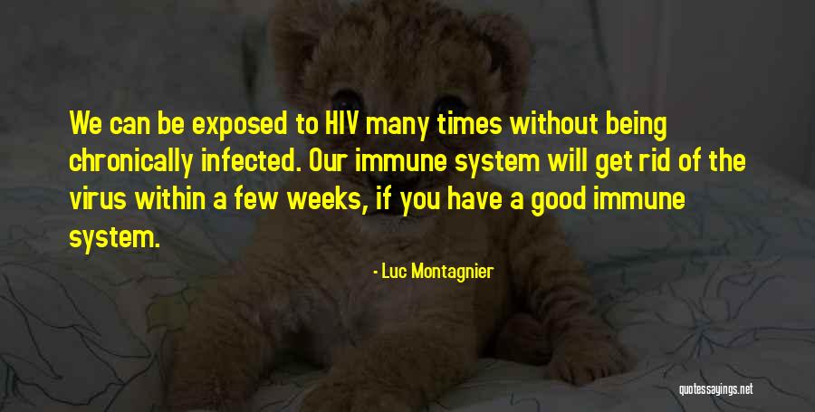 Montagnier Hiv Quotes By Luc Montagnier Montagnier Hiv Quotes By Luc Montagnier