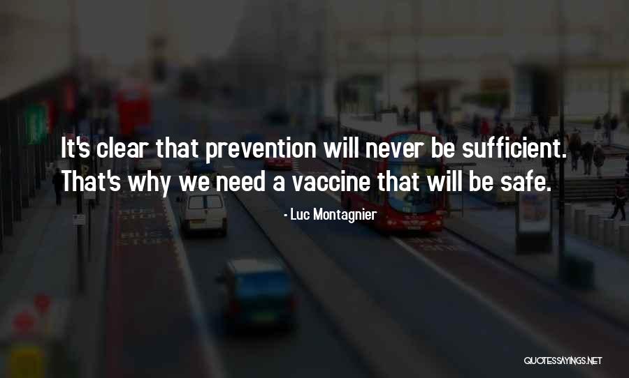 Montagnier Luc Quotes By Luc Montagnier Montagnier Luc Quotes By Luc Montagnier
