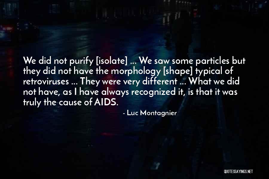 Montagnier Luc Quotes By Luc Montagnier Montagnier Luc Quotes By Luc Montagnier