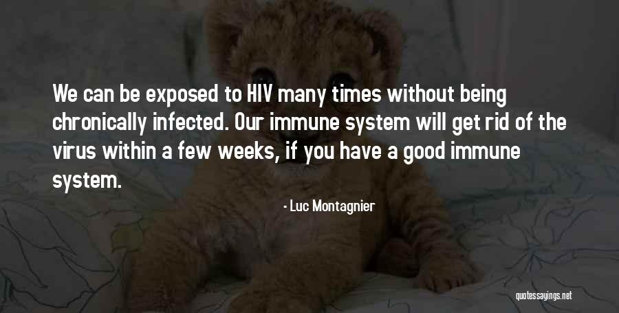 Montagnier Virus Quotes By Luc Montagnier Montagnier Virus Quotes By Luc Montagnier