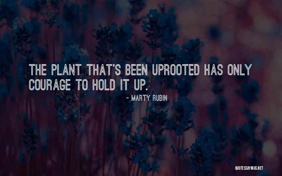 Montale Starry Quotes By Marty Rubin Montale Starry Quotes By Marty Rubin