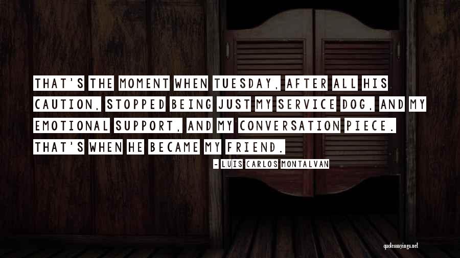 Montalvan Quotes By Luis Carlos Montalvan Montalvan Quotes By Luis Carlos Montalvan